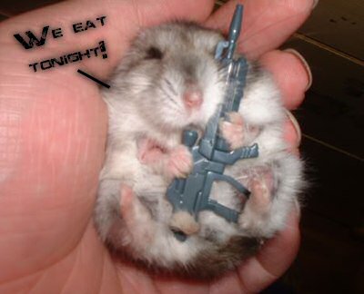 Gears Hamster